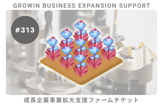 成長企業事業拡大支援#313ファームチケット