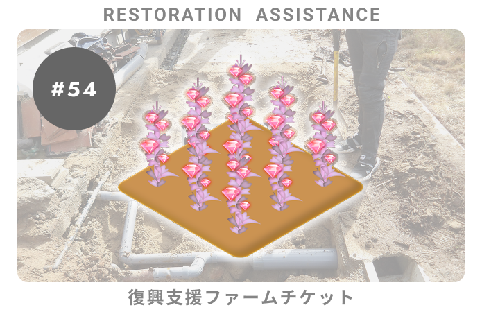 復興支援#54ファームチケット