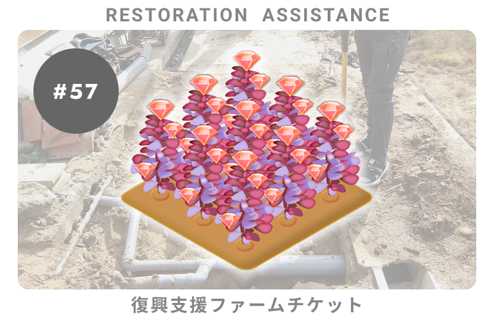 復興支援#57ファームチケット
