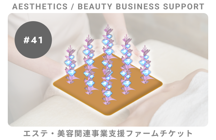 エステ・美容関連事業支援#41ファームチケット