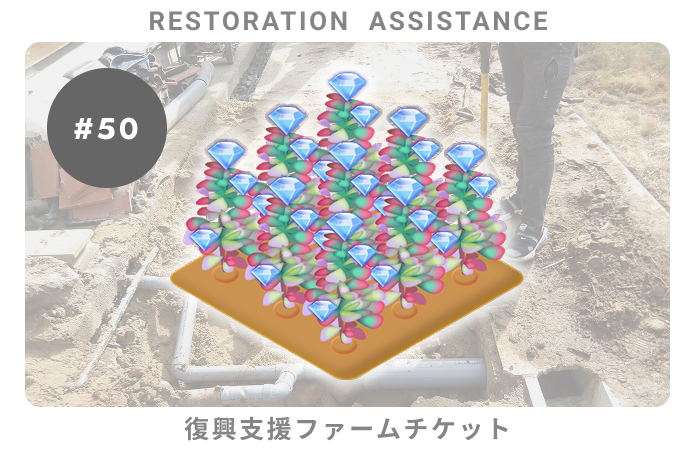 復興支援#50ファームチケット