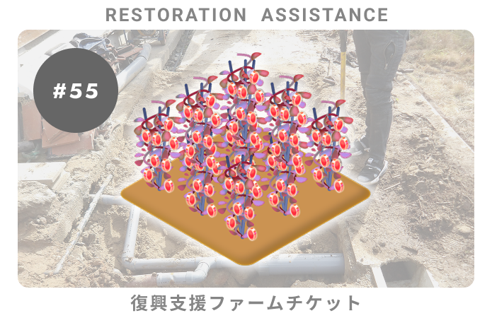 復興支援#55ファームチケット