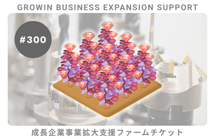 成長企業事業拡大支援#300ファームチケット