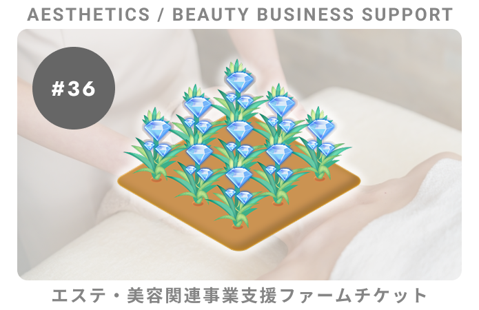エステ・美容関連事業支援#36ファームチケット